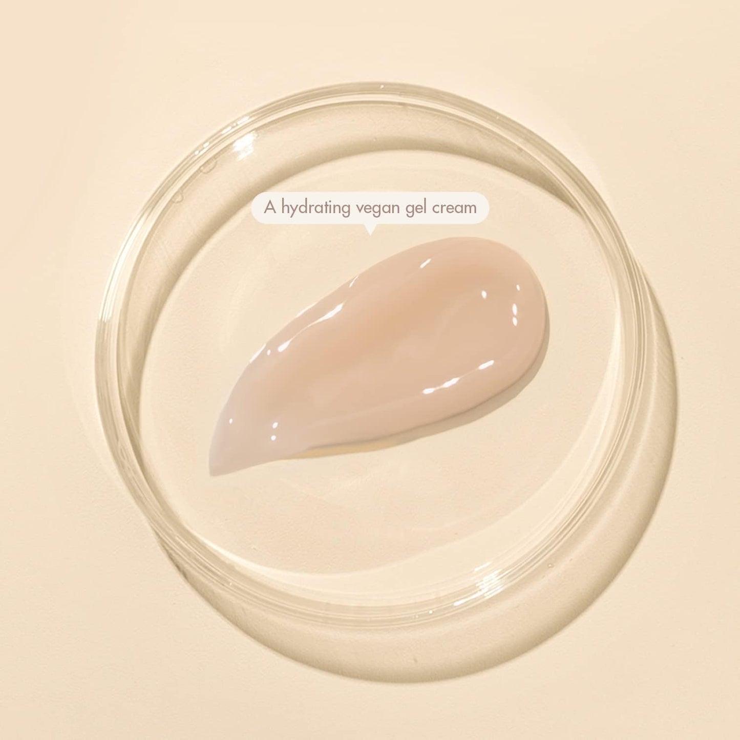 Dr. Ceuracle Vegan Kombucha Tea Gel Cream from Dr. Ceuracle