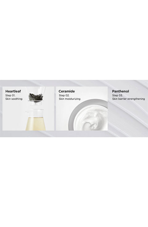 Anua Heartleaf 70 Intense Calming Cream