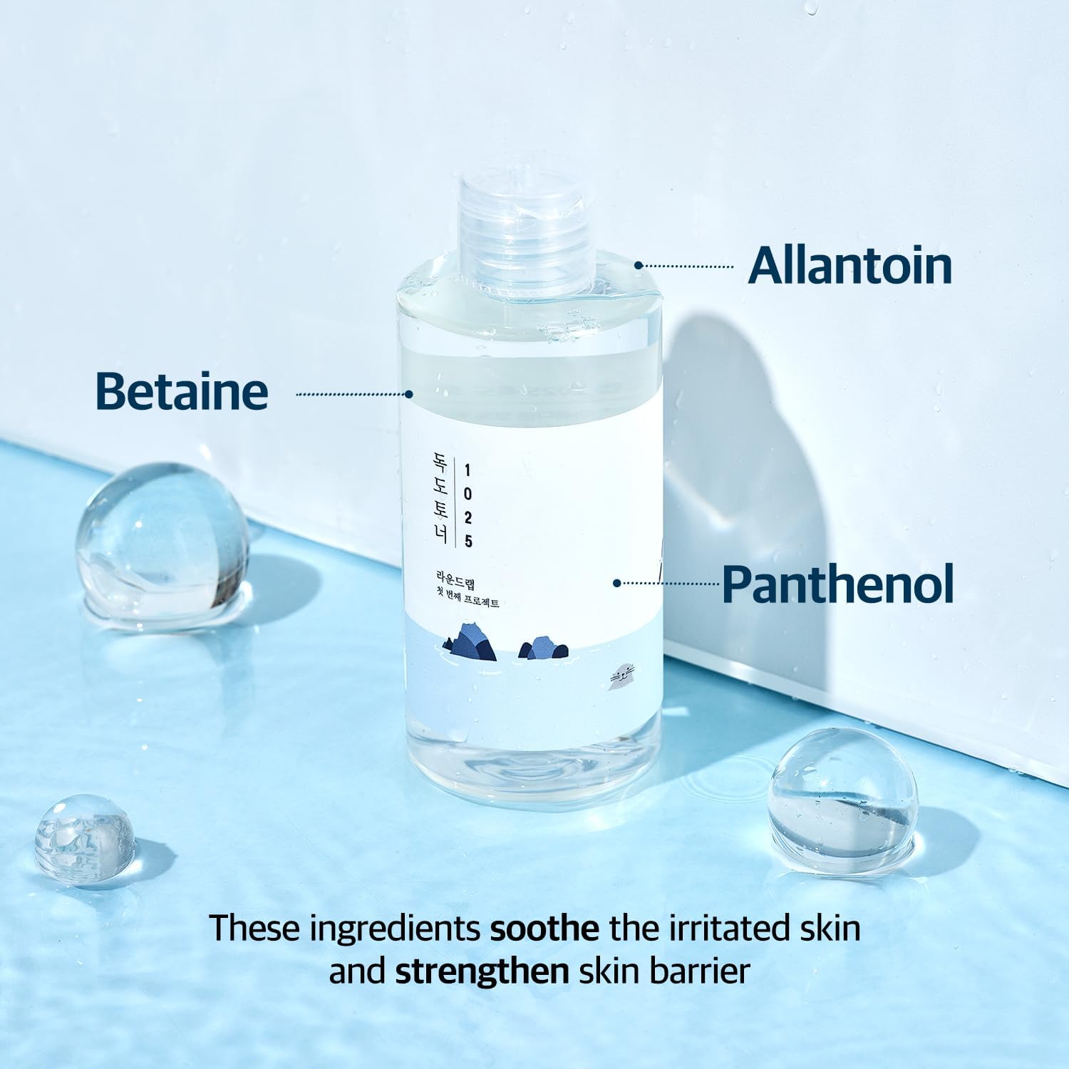 ROUND LAB 1025 Dokdo Toner