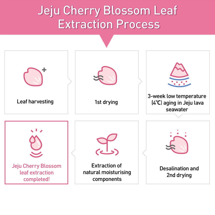INNISFREE Jeju Cherry Blossom Tone-Up Cream
