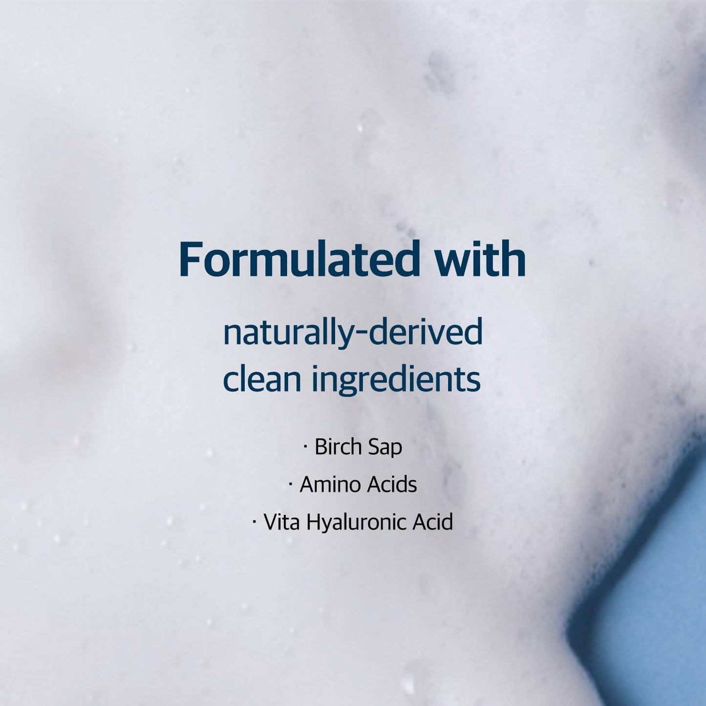 Round Lab Birch Moisturizing Cleanser