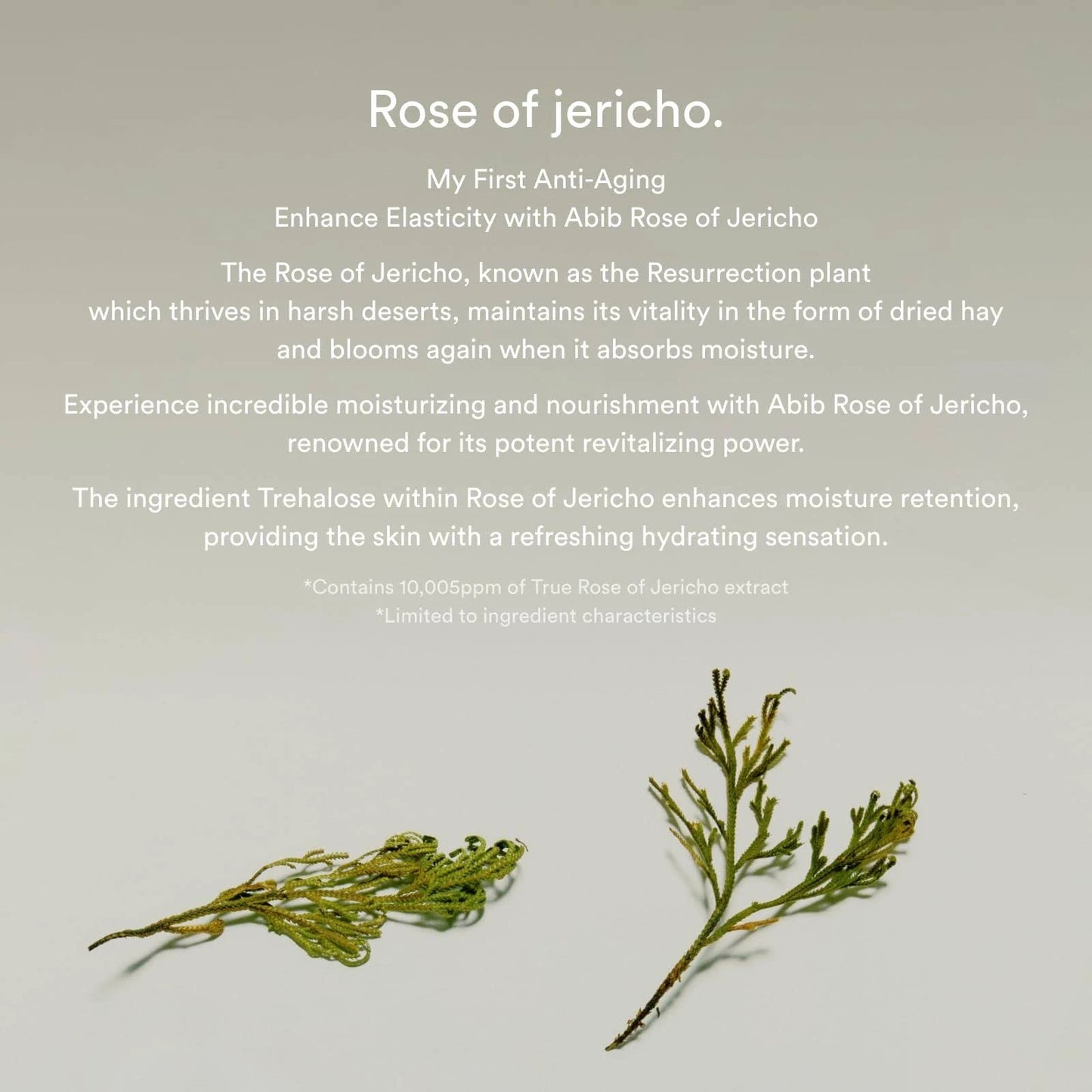 Abib Collagen eye crème Jericho rose tube