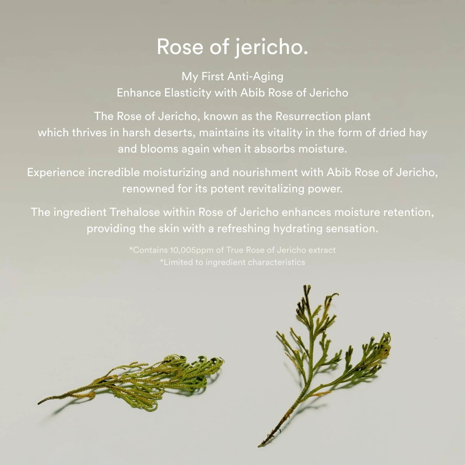 Abib Collagen eye crème Jericho rose tube