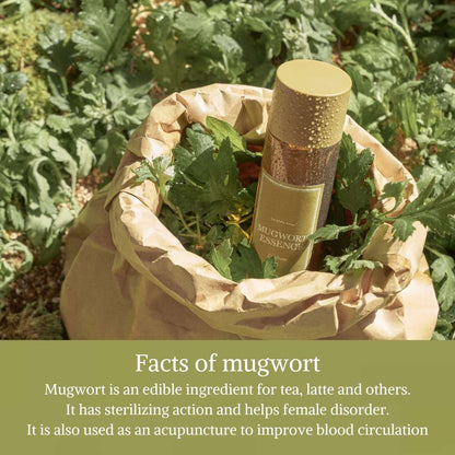 I'M FROM Mugwort Essence from I'm from