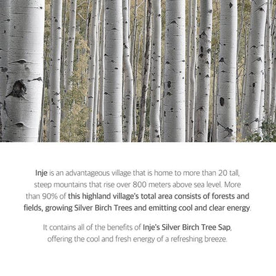 ROUND LAB Birch Juice Moisturizing Mask