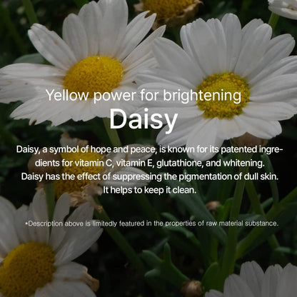 MIXSOON DAISY ESSENCE - Esmea K Beauty - Canada & USA